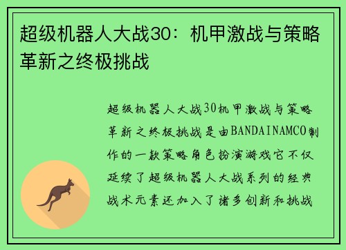 超级机器人大战30:机甲激战与策略革新之终极挑战 超级机器人大战30:机甲激战与策略革新之终极挑战